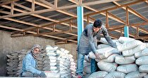 خروج سیمان از بورس فقط دلالان را خوشحال می‌کند
