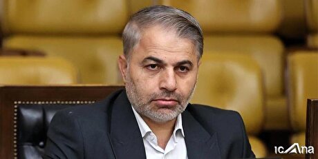 لغو مصوبه دولت در پی ورود مجلس به موضوع گرانی کپسول‌های گاز مایع/ مجلس هیچ نقشی در افزایش قیمت گاز مایع نداشت