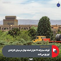 فولاد مبارکه ۲۶ هزار اصله نهال در میان کارکنان خود توزیع می‌کند