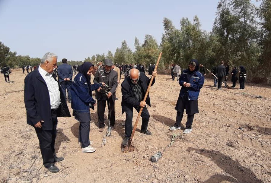 پویش سراسری نهال کاری به نام