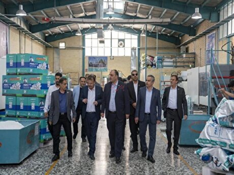 مدیران و کارشناسان پتروشیمی بندر امام از شرکت‌های مشتریان مستقر در اصفهان بازدید کردند