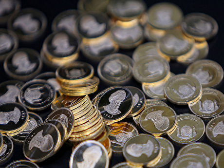 معامله بیش از ۱۵ هزار قطعه سکه در مرکز مبادله
