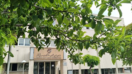 جلوه‌هایی از نعمات خداوندی و طبیعت زیبای محوطه سازمان زمین‌شناسی و اکتشافات‌معدنی کشور