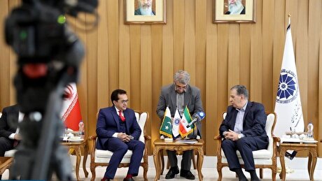 دیدار سفیر پاکستان در تهران با صمد حسن‌زاده