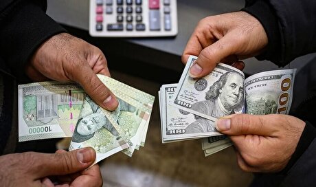 نوسان قیمت دلار کوتاه مدت است/ آرامش به بازار ارز برمی‌گردد