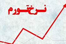 تنها راه مهار تورم، کنترل نرخ ارز است