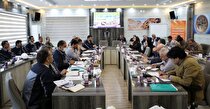 برگزاری جلسه شورای معاونین و مدیران شرکت آلومینای ایران
