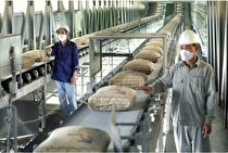 گلایه فعالان صنعت سیمان از احتمال اعمال محدودیت گاز