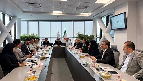 نشست مشترک شورای توسعه تجارت خارجی منطقه آزاد تجاری چین با هیات گمرکی ایران