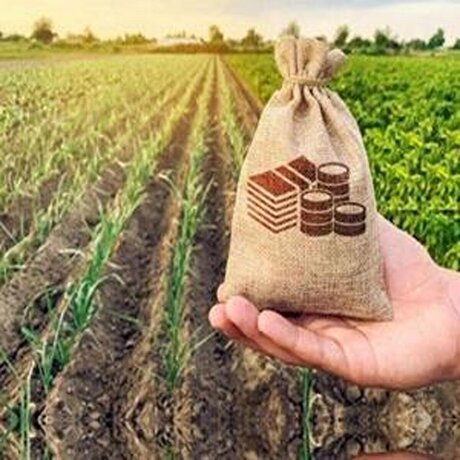 ثبت رکورد تازه‌ای در پرداخت غرامت صندوق بیمه بدون وابستگی به بانک کشاورزی