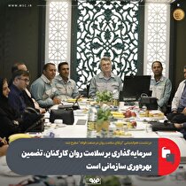 سرمایه‌گذاری بر سلامت روان کارکنان، تضمین بهره‌وری سازمانی است