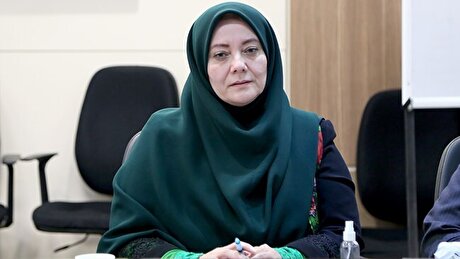 موانع ۶ گانه تأمین اجتماعی در مسیر توسعه اقتصاد دیجیتال/ قوانین بیمه‌ای با ساختار اقتصاد پلتفرمی تطابق ندارند