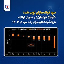 «فولاد خراسان» و «جهان فولاد» تنها شرکت‌های دارای رشد سود در ۱۴۰۳
