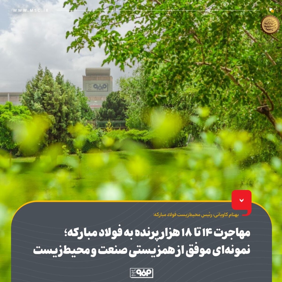 مهاجرت ۱۴ تا ۱۸ هزار پرنده به فولاد مبارکه؛ نمونه‌ای موفق از هم‌زیستی صنعت و محیط‌ زیست