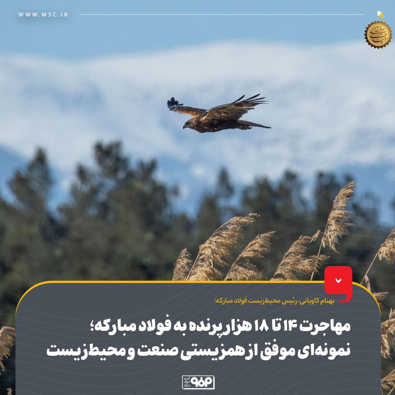 مهاجرت ۱۴ تا ۱۸ هزار پرنده به فولاد مبارکه؛ نمونه‌ای موفق از هم‌زیستی صنعت و محیط‌ زیست