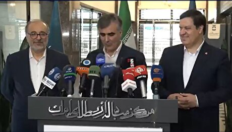 رئیس کل بانک مرکزی: از بابک زنجانی خواستیم خودش نیکل‌ها را بفروشد و طلب ما را بدهد