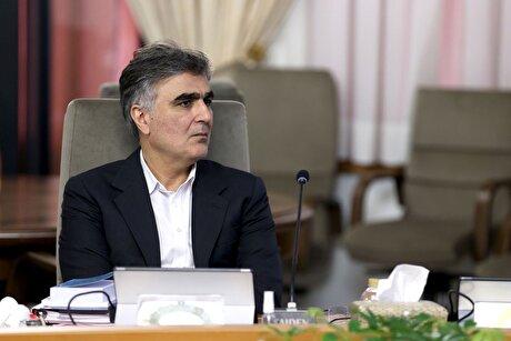 فرزین: در سال جدید ۱۰ میلیارد دلار تامین مالی ارزی می‌کنیم