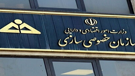 زنگ هشدار برای خصوصی‌سازی در ایران/ دولت هنوز بازیگر اصلی اقتصاد