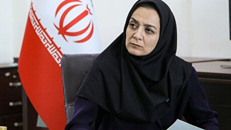 حل مساله فرونشست نیازمند تعیین متولی در سطح ملی است