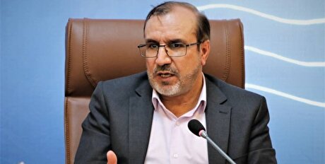 تیم اقتصادی دولت خروجی مطلوبی پیرامون واردات خودرو نداشته است
