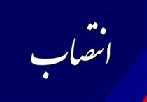 سرپرست دفتر نظارت بر معادن وزارت صمت منصوب شد