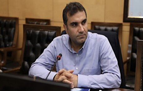 دولت اراده‌ای برای ساماندهی بازار خودرو ندارد/ انتقاد از رای دیوان عدالت اداری در زمینه واردات خودرو