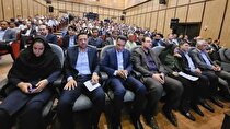 مشوق خاصی برای توسعه معادن جنوب در نظر گرفته نشده است