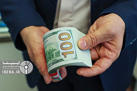 میزان تامین ارز واردات به ۱۹.۵ میلیارد دلار رسید/ واردات ۱۴ میلیارد دلاری بخش صنعت