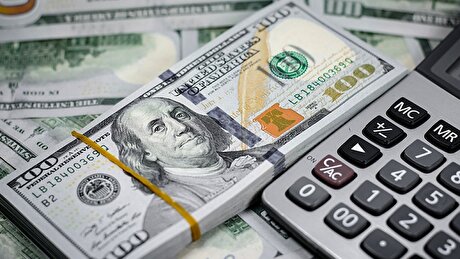 بلاتکلیفی تولیدکنندگان در بروکراسی پیچیده تخصیص ارز