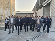تقلای غرب برای شکستن سلطه چین بر مواد معدنی حیاتی