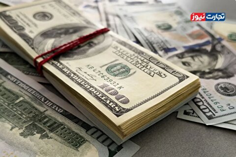 ارز صادرات در پیچ‌وخم کنترل‌گری دولت / حجم قاچاق صادرات و واردات از مرز ۲۵ میلیارد دلار عبور کرده است / پدیده‌ای به نام قاچاق ارز وجود ندارد / بانک مرکزی به طلافروشی و صرافی تبدیل شده است