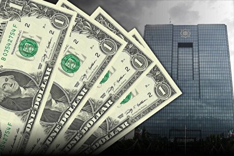 میزان تامین ارز واردات امسال از ۱۶.۶ میلیارد دلار عبور کرد