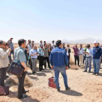 برگزاری جلسه توجیهی مناقصه عمومی پروژه احداث نیروگاه خورشیدی ۴۰ مگاواتی در شرکت آهن و فولاد ارفع