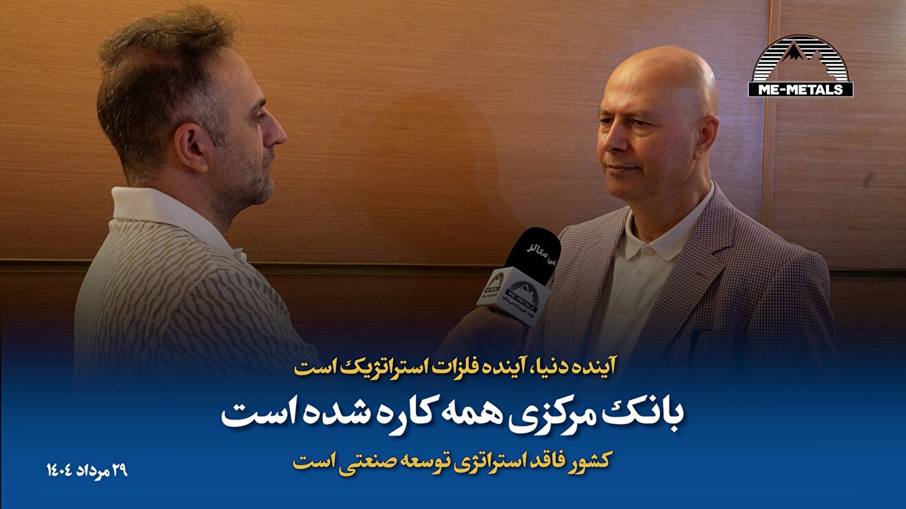 آینده دنیا، آینده فلزات استراتژیک است/ بانک مرکزی همه کاره شده است/ کشور فاقد استراتژی توسعه صنعتی است