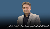 راهبرد فراگیر آلومینیوم المهدی برای توسعه‌ای پایدار و ارزش‌آفرین