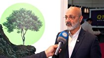 ضرورت عبور از گفتمان به اقدام؛ پیوند معدن ایران با اقتصاد جهانی