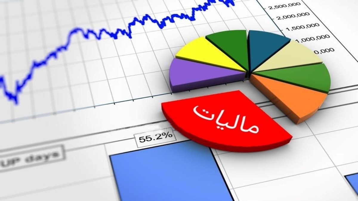 مالیات بر ارزش افزوده گام بزرگ در انضباط مالی است