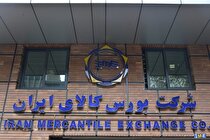 ۲ میلیون تن محصول به دست خریداران رسید