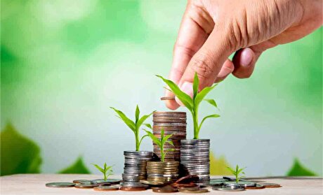 پیگیری مجلس از دولت و بانک مرکزی در زمینه ابلاغ سهمیه‌های استانی و ملی وام اشتغال مددجویان