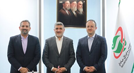 «علی نیازی» معاون نظارت بر نهاد‌های مالی سازمان بورس شد
