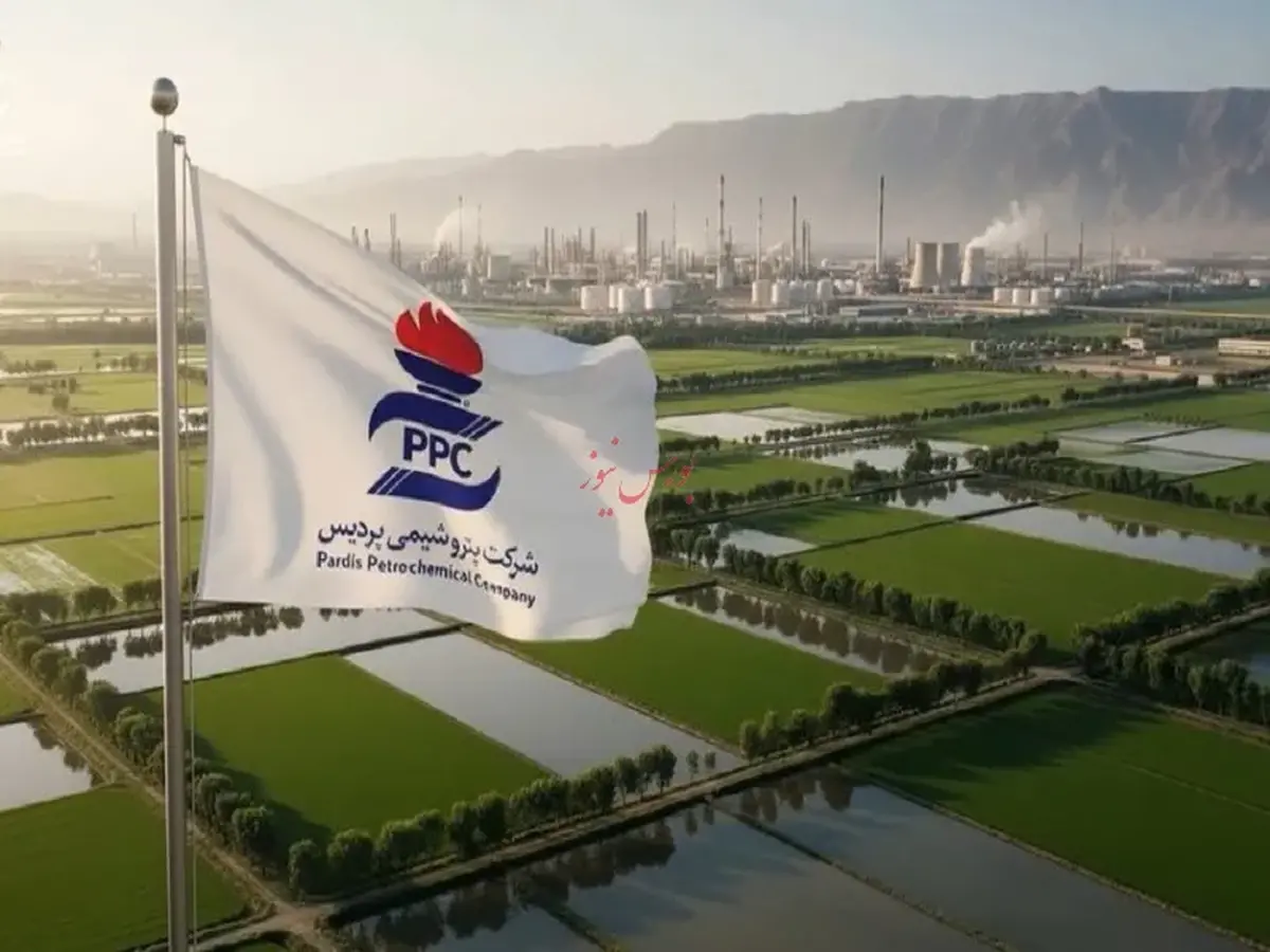 تحلیل ارقام مردادماه شپدیس